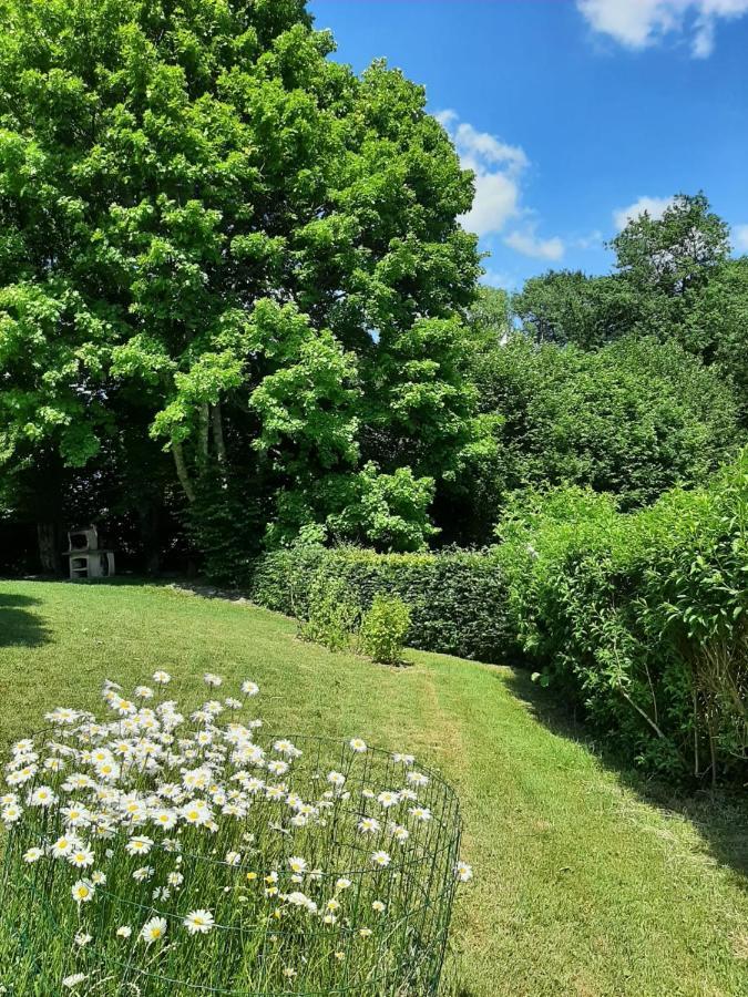 La Maison Des Marguerites Vresse-sur-Semois Esterno foto