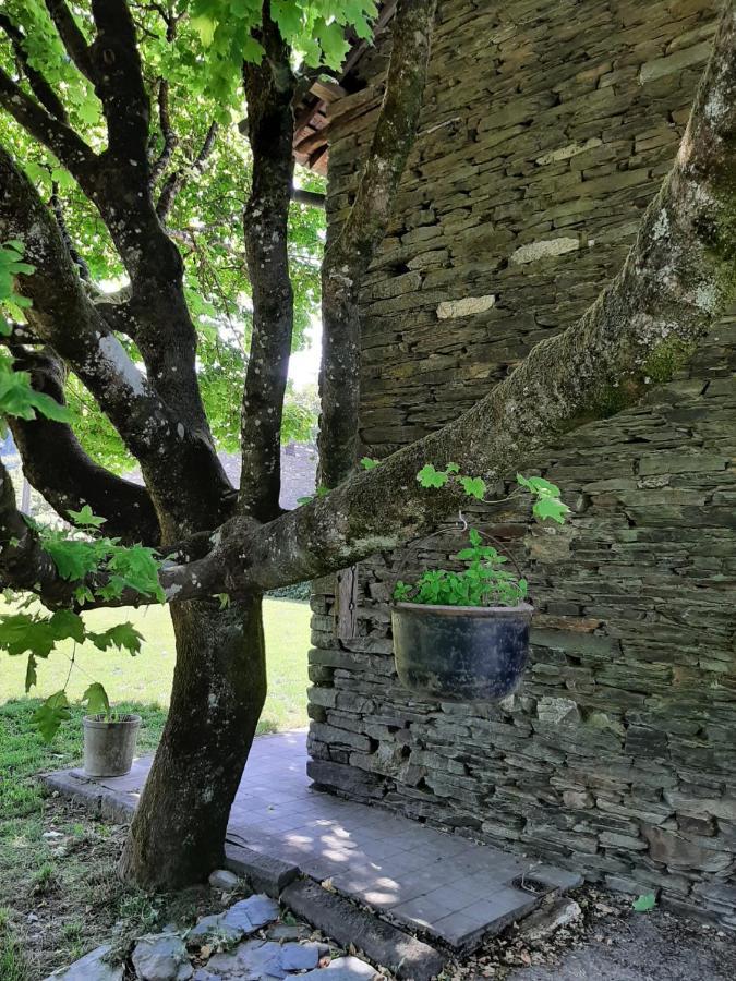 La Maison Des Marguerites Vresse-sur-Semois Esterno foto