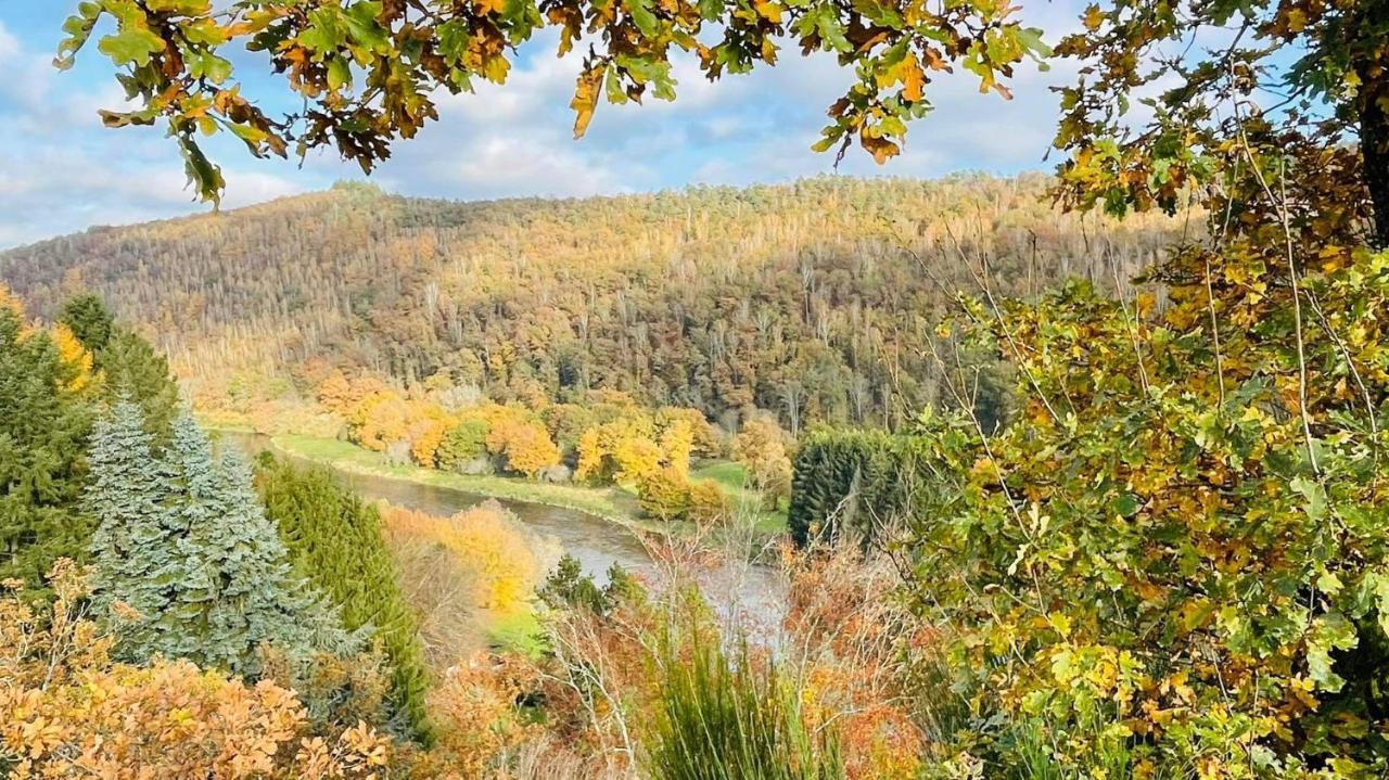 La Maison Des Marguerites Vresse-sur-Semois Esterno foto