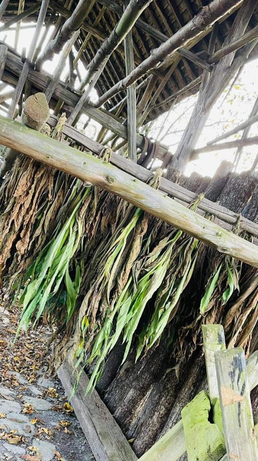 La Maison Des Marguerites Vresse-sur-Semois Esterno foto