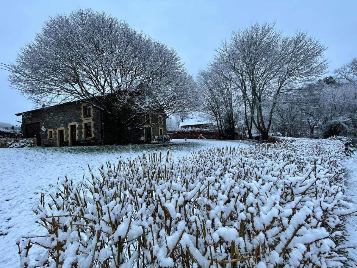 La Maison Des Marguerites Vresse-sur-Semois Esterno foto