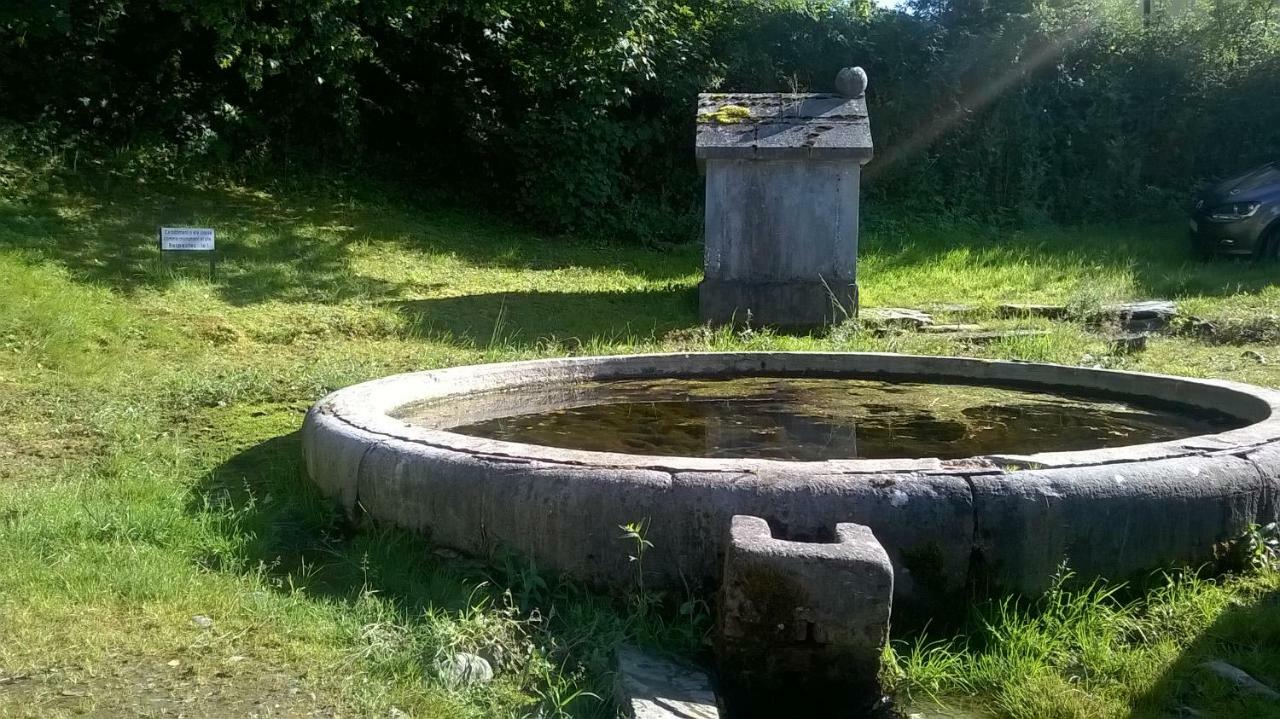 La Maison Des Marguerites Vresse-sur-Semois Esterno foto