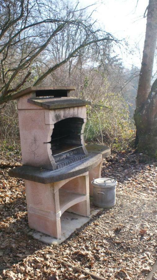 La Maison Des Marguerites Vresse-sur-Semois Esterno foto